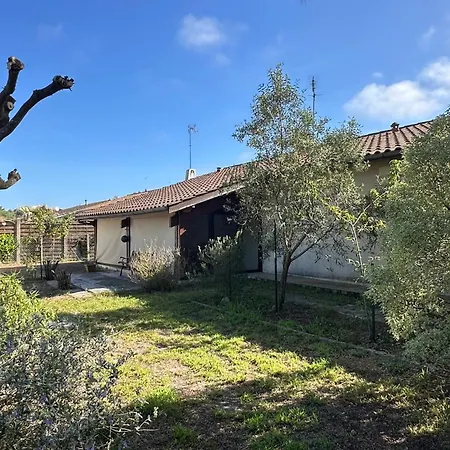 Spacious House With Garden In *